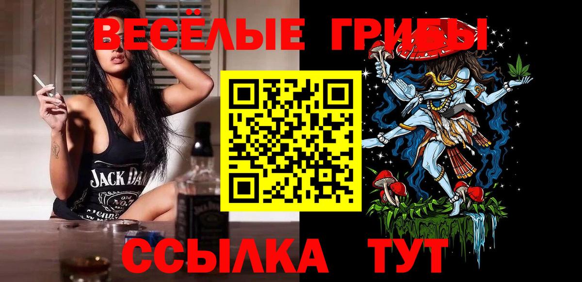 Псилоцибиновые грибы Psilocybe  Псилоцибиновые грибы мухоморы  Вход с VPN  хочу наркоту  Ковров 