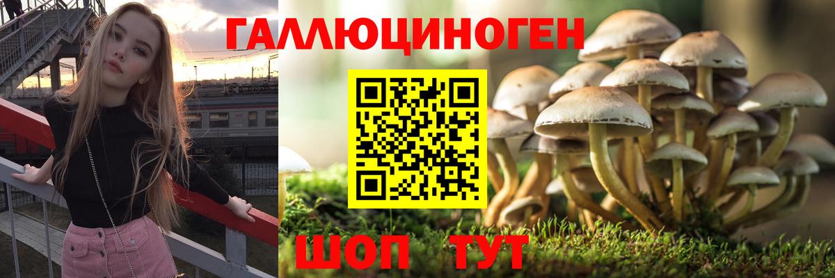 Галлюциногенные грибы прущие грибы Ковров